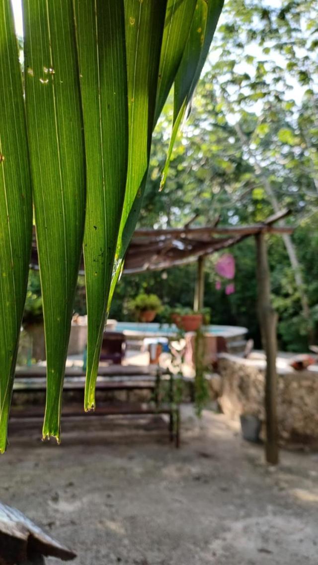 Bed and Breakfast Casa Tzalam Tulum Selva Exterior foto