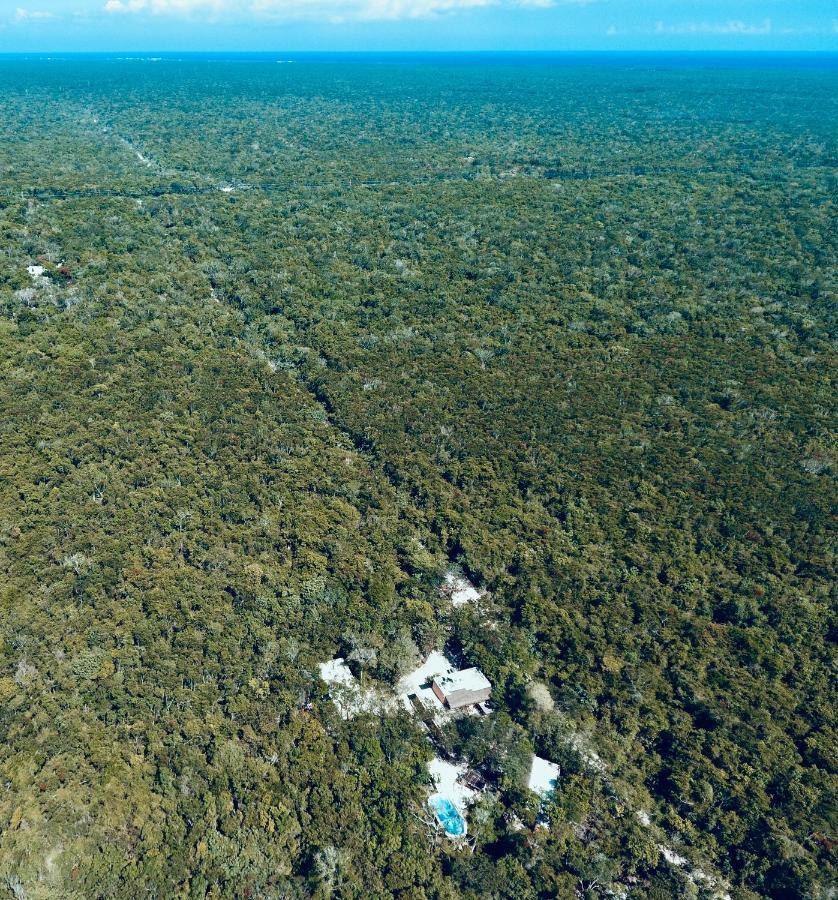 Bed and Breakfast Casa Tzalam Tulum Selva Exterior foto